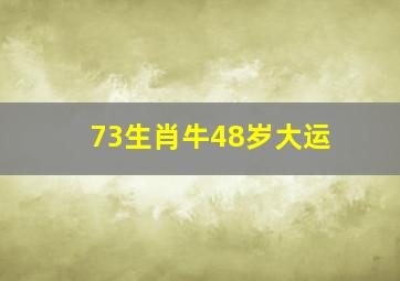 73生肖牛48岁大运,73属牛48岁大运今年的事业运财运状况