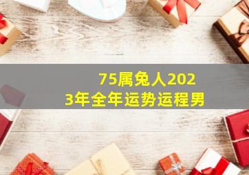 75属兔人2023年全年运势运程男,1975年和2023年属兔的运势如何