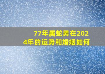 77年属蛇男在2024年的运势和婚姻如何,77年属蛇男在2024年的运势和婚姻如何样