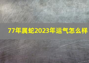 77年属蛇2023年运气怎么样,77年属蛇男命2023年财运怎么样46岁兔年事业运