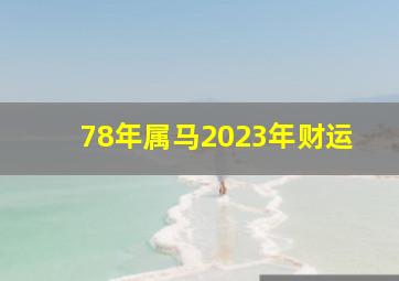 78年属马2023年财运,78年属马男命2023年财运怎样样45岁兔年事业运