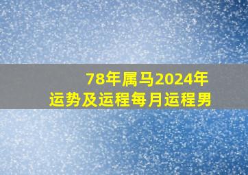 78年属马2024年运势及运程每月运程男,1978属马2024年运势及运程详解