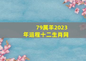 79属羊2023年运程十二生肖网,1979年属羊2023年婚姻运79年属羊人在2023年的婚姻运势如何