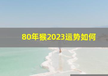 80年猴2023运势如何,<body>