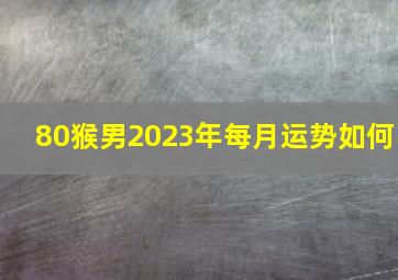 80猴男2023年每月运势如何,1980年属猴2023年运势完好版男有不小的惊喜