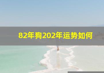 82年狗202年运势如何,82年狗2024运势如何