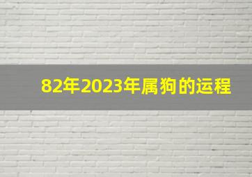 82年2023年属狗的运程,82年41岁属狗人2023年每月运程怎样