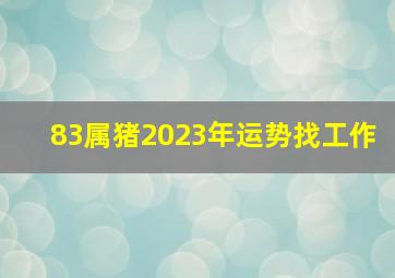 83属猪2023年运势找工作,40岁1983年出生的属猪男命2023年上半年运气如何运势详解