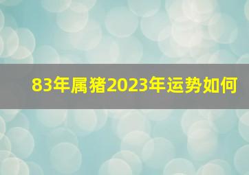 83年属猪2023年运势如何,2023年1983年属猪女人的运势