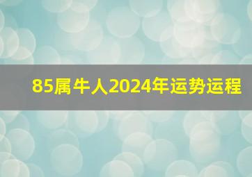 85属牛人2024年运势运程,2024属牛的运势和财运怎么样