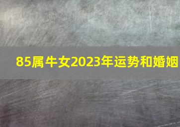 85属牛女2023年运势和婚姻,85属牛女2023年运势怎么样