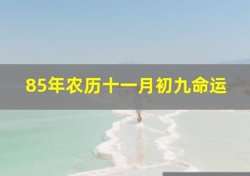 85年农历十一月初九命运,85年农历十一月初九命运怎么样