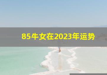 85牛女在2023年运势,85年属牛女命2023年财运怎么样38岁兔年事业运