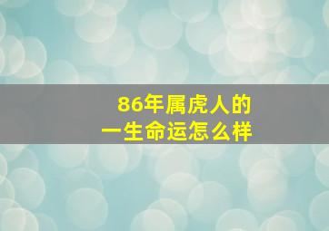 86年属虎人的一生命运怎么样,86年属虎人一生运势