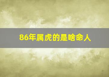 86年属虎的是啥命人,1986年属虎是什么命