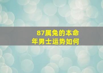 87属兔的本命年男士运势如何,87属兔的本命年男士运势如何看