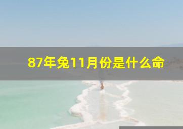 87年兔11月份是什么命,87年属兔11月生的人