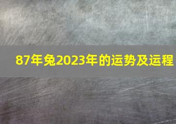 87年兔2023年的运势及运程,87的兔2023年运势怎么样