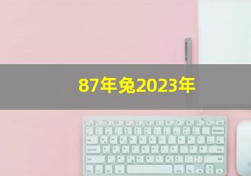 87年兔2023年,87年属兔2023灾难感情不顺多留意