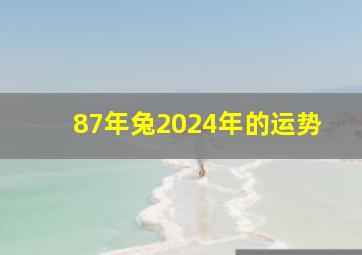 87年兔2024年的运势,1987年属兔人一生运势2022年属兔人的全年运势