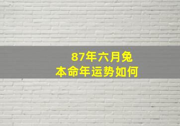 87年六月兔本命年运势如何,87年六月兔2024年运势