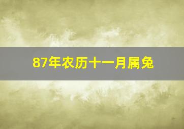 87年农历十一月属兔,87年农历11月属兔的是什么命