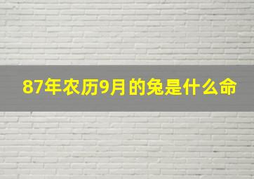 87年农历9月的兔是什么命,87年农历9月的兔是什么命格