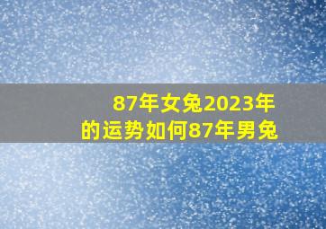 87年女兔2023年的运势如何87年男兔,87年属兔女命2023年恋爱桃花36岁兔年婚姻运