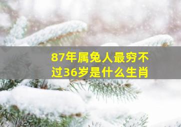 87年属兔人最穷不过36岁是什么生肖,87年属兔人最穷不过36岁87年属兔36岁运势