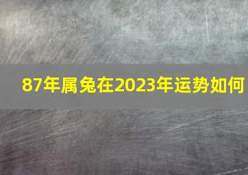 87年属兔在2023年运势如何,<body>