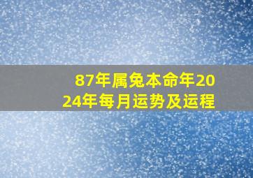 87年属兔本命年2024年每月运势及运程,87年的兔在2024年的运势怎么样