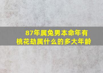 87年属兔男本命年有桃花劫属什么的多大年龄,87年属兔男34岁有桃花劫