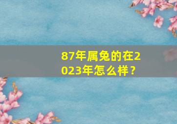 87年属兔的在2023年怎么样？