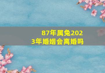 87年属兔2023年婚姻会离婚吗,87年属兔2023年婚姻情况87年兔2023年感情运势如何