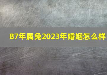 87年属兔2023年婚姻怎么样,87年的属兔男命2023年运势详解大全详细剖析