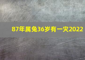 87年属兔36岁有一灾2022,