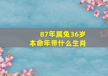 87年属兔36岁本命年带什么生肖,属兔的人戴什么首饰好