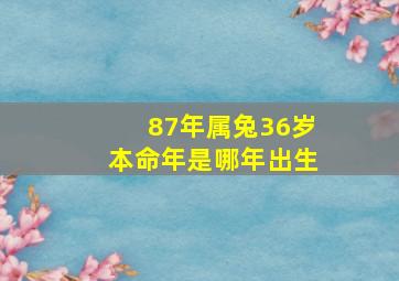 87年属兔36岁本命年是哪年出生,1987年36岁是不是本命年