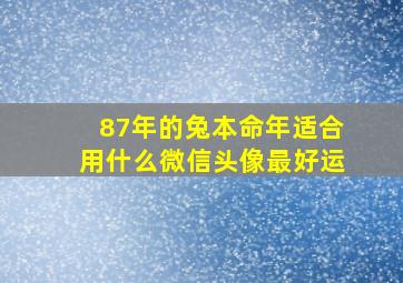 87年的兔本命年适合用什么微信头像最好运,87年属兔的本命年可以结婚吗