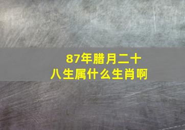 87年腊月二十八生属什么生肖啊,1987年腊月二十八属兔命运如何