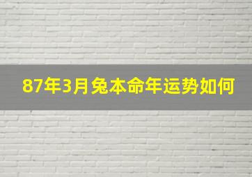 87年3月兔本命年运势如何,87年3月的兔2024年运势