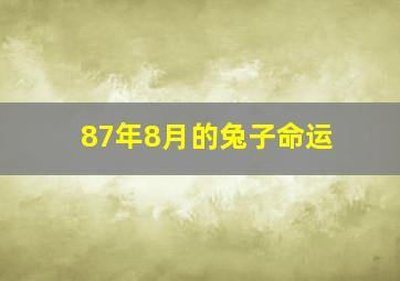 87年8月的兔子命运,87年兔子8月运势如何