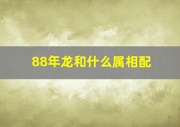 88年龙和什么属相配