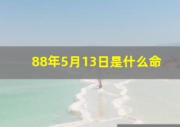 88年5月13日是什么命,88年属龙是什么命