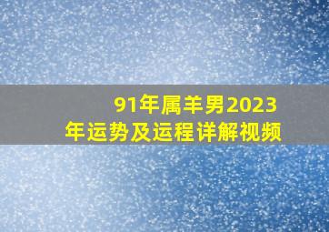 91年属羊男2023年运势及运程详解视频,91年属羊2023到2025将来三年运势好吗