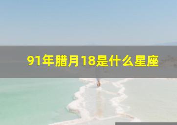 91年腊月18是什么星座,1991年农历腊月二十七出生的属什么什么星座