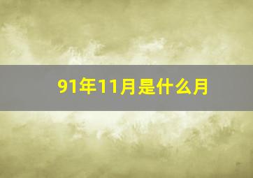 91年11月是什么月,91年农历十一月十一日出生的是什么星座