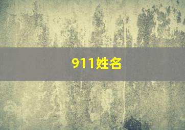 911姓名,911是什么