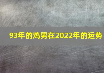 93年的鸡男在2022年的运势,93年属鸡人2022年运势