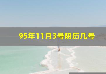 95年11月3号阴历几号,1995年11月3号农历是几号